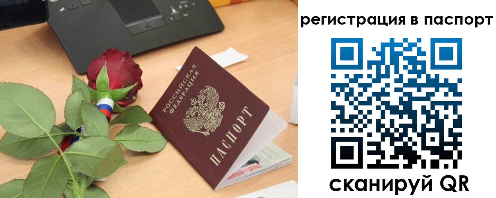 временная регистрация для школы в Борзе